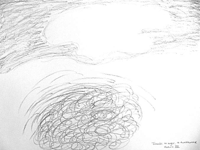 图3　丽贝卡的第三型画作《龙卷风，到螺旋钻，再到风滚草——成熟的第三型》