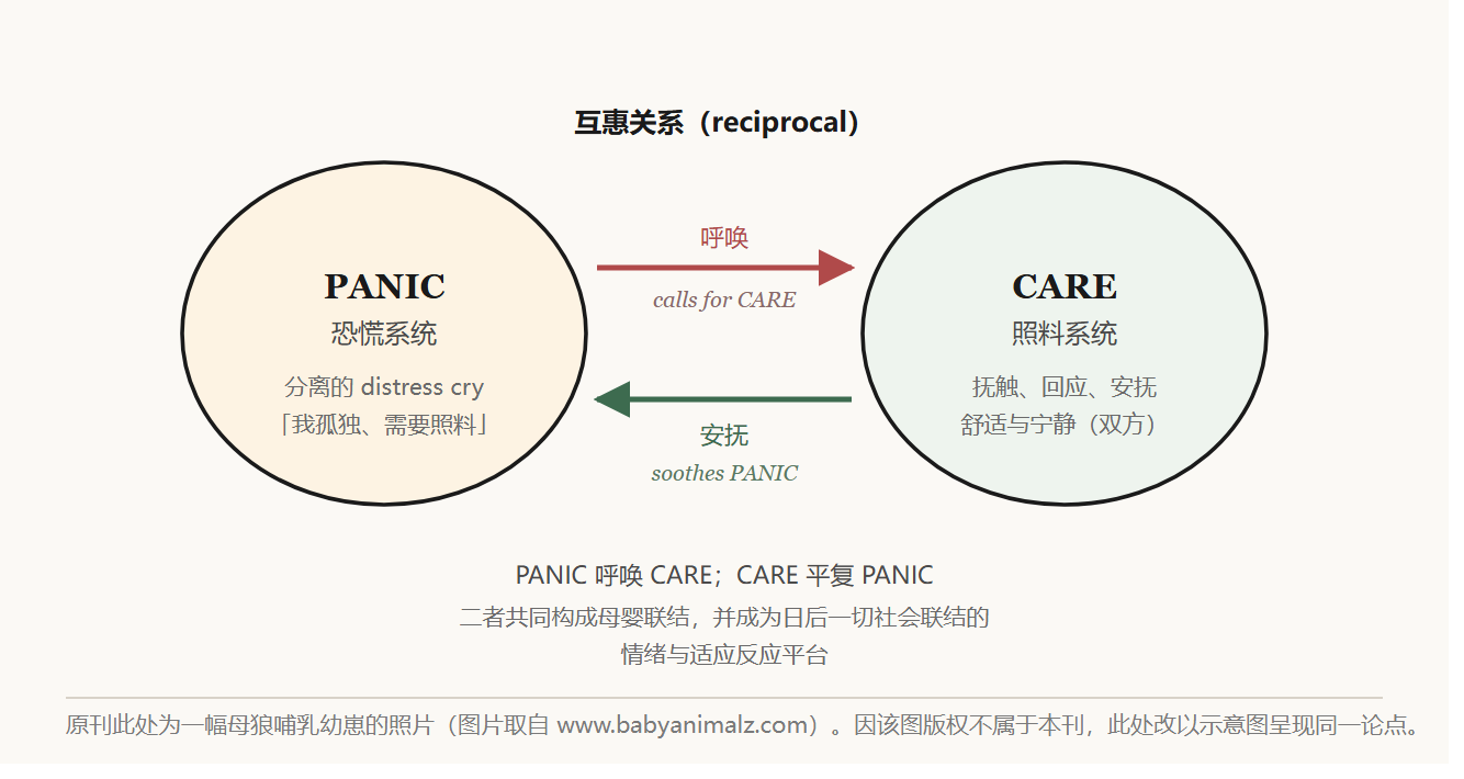 哺乳动物母幼联结示意图：幼体的 PANIC 恐慌系统呼唤 CARE 照料系统，看护者的照料反过来平复恐慌，两者互为表里